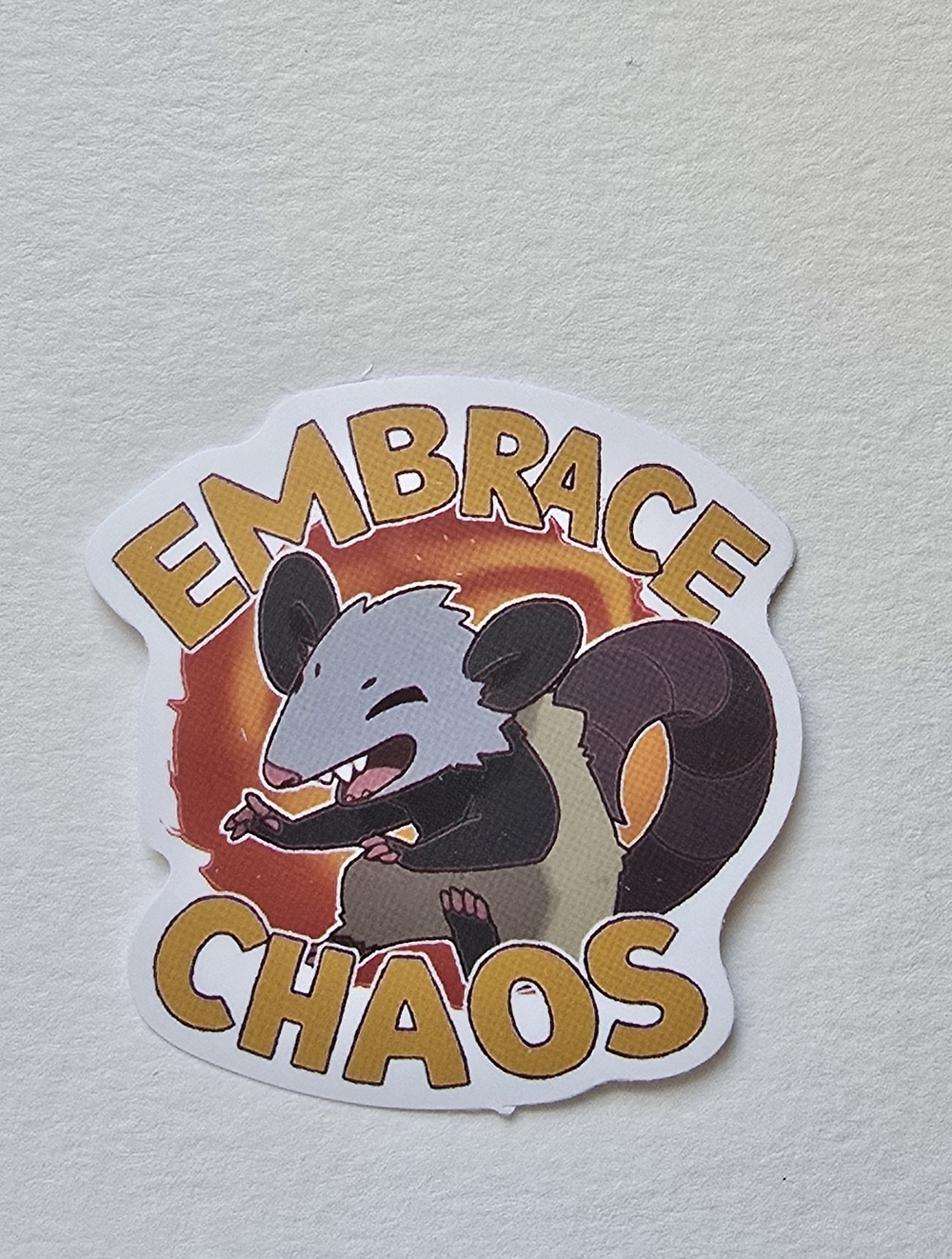 10/$10 Embrace Chaos Possum Sticker
